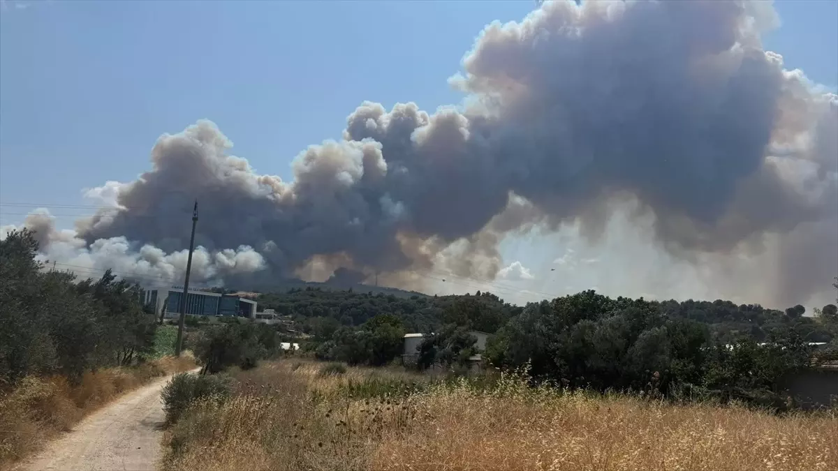 Çanakkale’de Orman Yangınına Müdahale