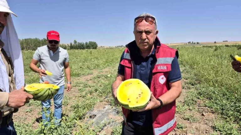 vanda-sari-karpuz-hasadi-yapildi-YsAp5ByG.jpg